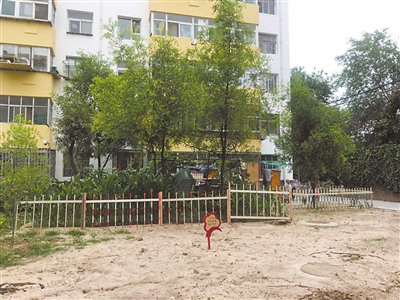 9號樓前小區(qū)綠地空置，被居民圍起柵欄圈占種菜。 本報(bào)記者    張艷麗    攝
