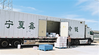    冷涼蔬菜通過(guò)冷鏈物流銷往南方市場(chǎng)。