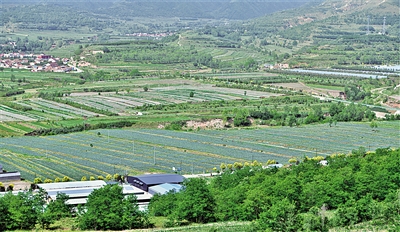     農田與山川構成一幅鄉(xiāng)村振興畫卷。