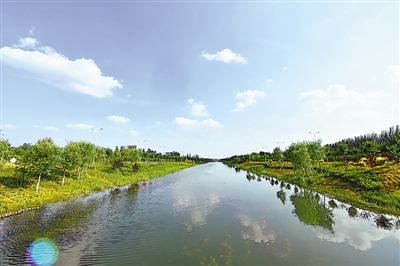 <p>　　生態(tài)質(zhì)量明顯改善。</p>