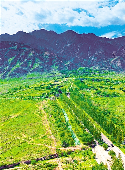     綠色——賀蘭山，寧夏的父親山。隨著近年來賀蘭山生態(tài)保衛(wèi)戰(zhàn)的打響，賀蘭山生態(tài)逐步恢復(fù)，是寧夏踐行“綠水青山就是金山銀山”理念的生動(dòng)寫照。     本報(bào)記者 馬楠 攝