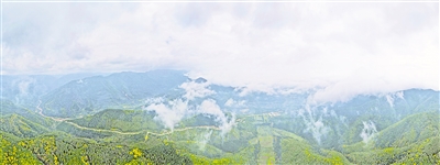     清晨，薄霧籠罩六盤山。