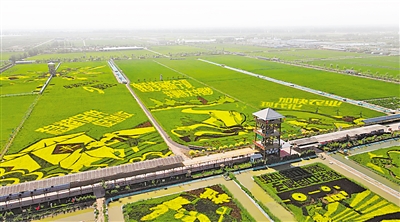     稻漁空間生態(tài)休閑觀光園。